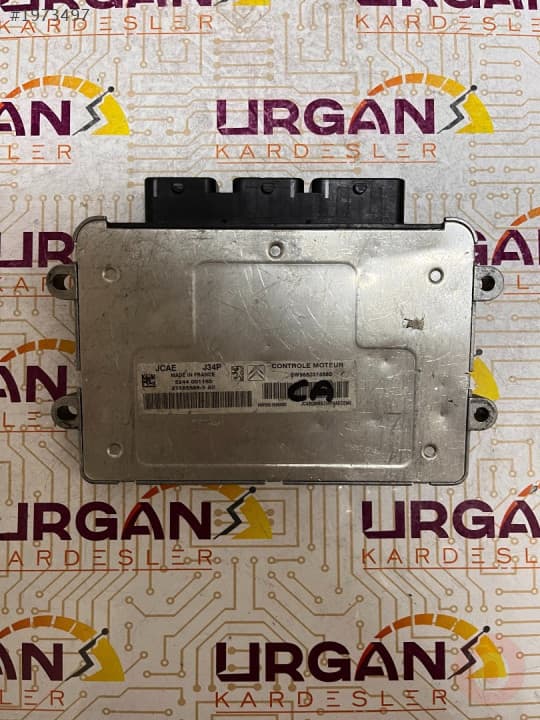 5244001160 21585598-3 PEUGEOT 206 MOTOR BEYNİ