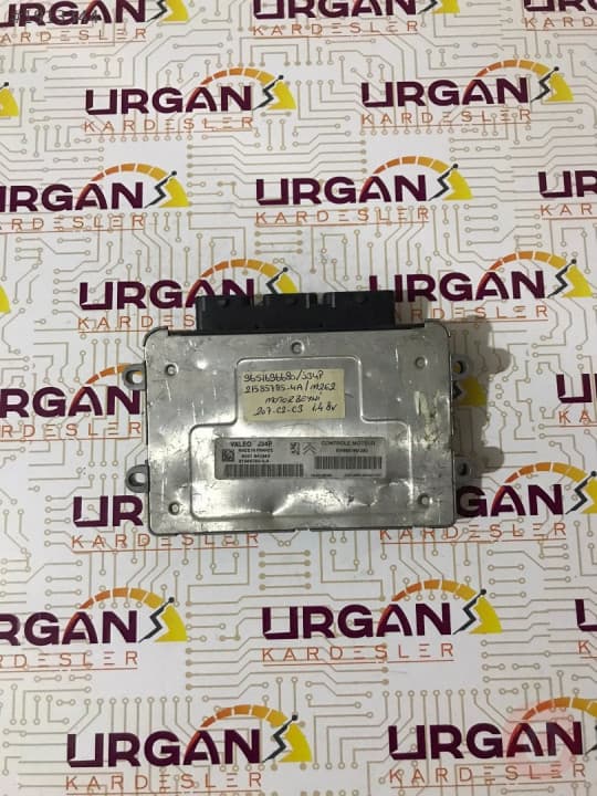 SW9661981280 6301 641980 CITROEN C3 MOTOR  BEYNİ